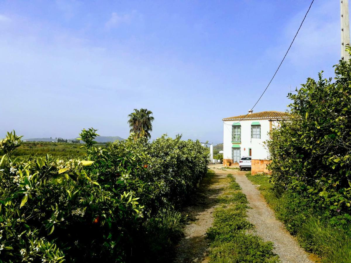 Casa Rural La Estrella Pizarra Ngoại thất bức ảnh