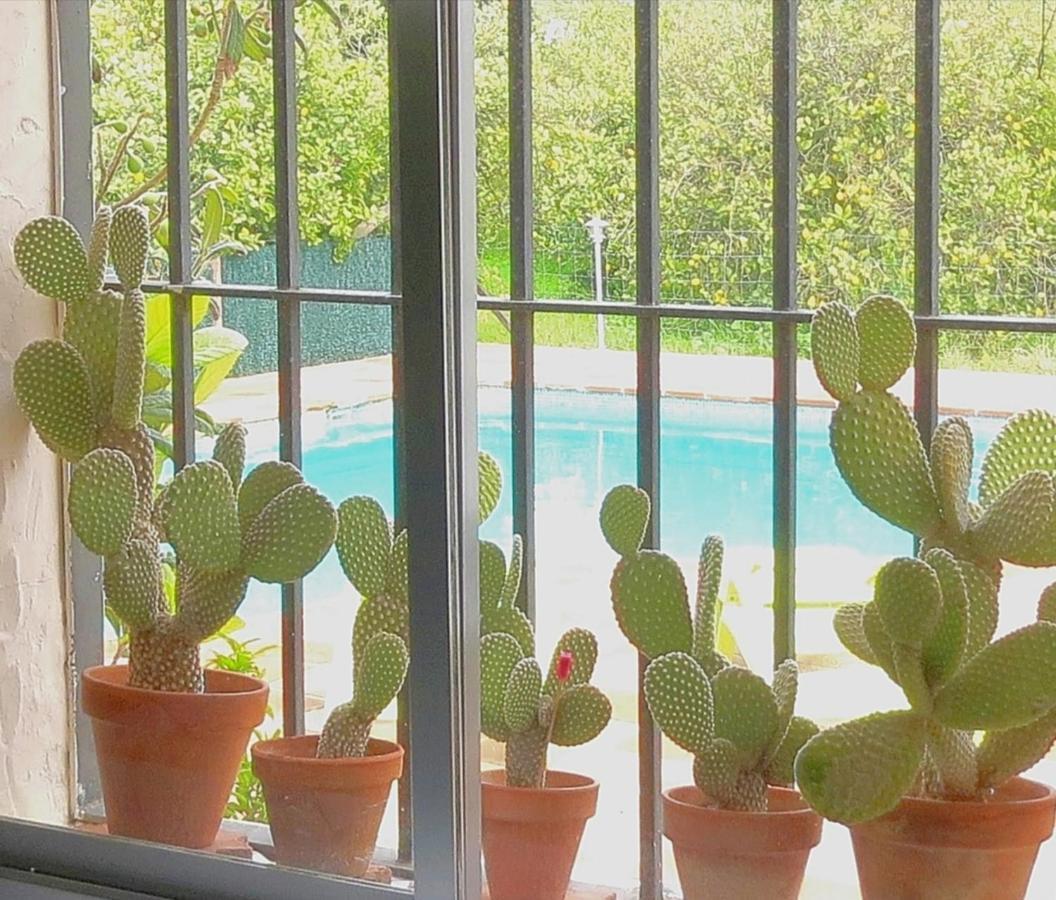 Casa Rural La Estrella Pizarra Ngoại thất bức ảnh